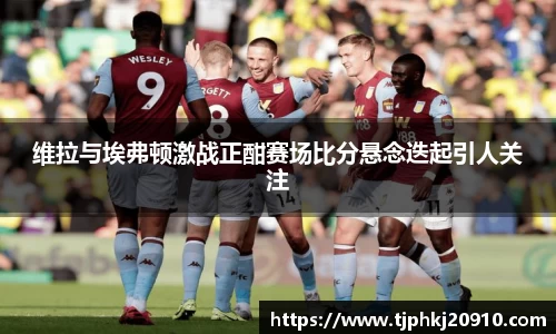 维拉与埃弗顿激战正酣赛场比分悬念迭起引人关注